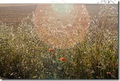 (c) Bertrand Le Roy 2010