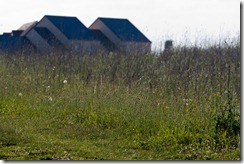 (c) Bertrand Le Roy 2010