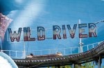 IMG_2525_85 IMG_2525_85