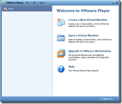 VMwarePlayer