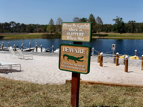 Beware of aligators!