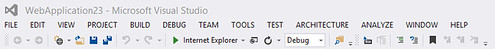 Web Development settings
